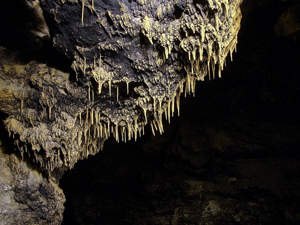 Пещера Ле Мустье