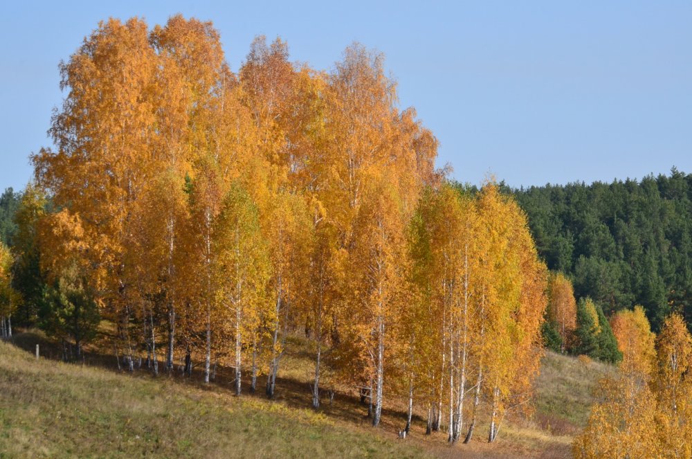 Осень на Урале фото