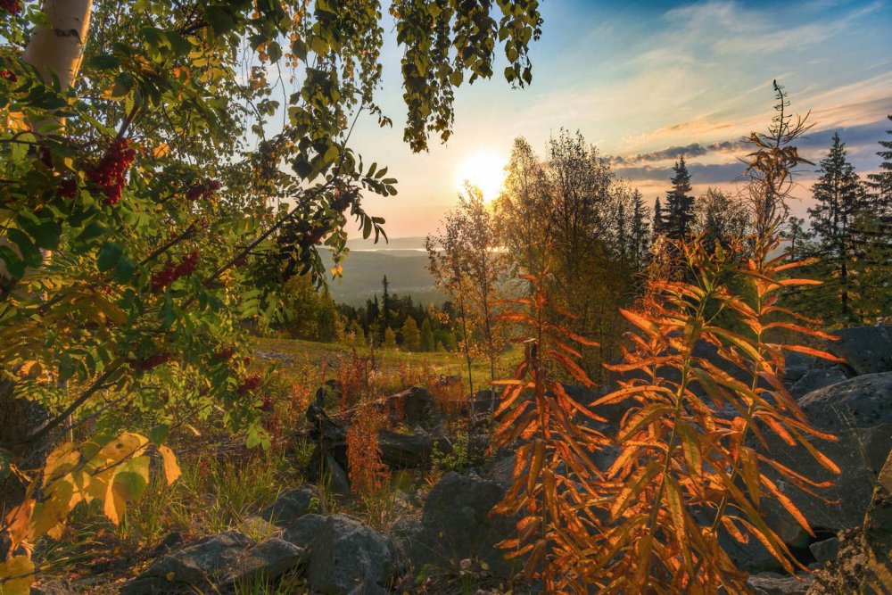 Уральская осень фото