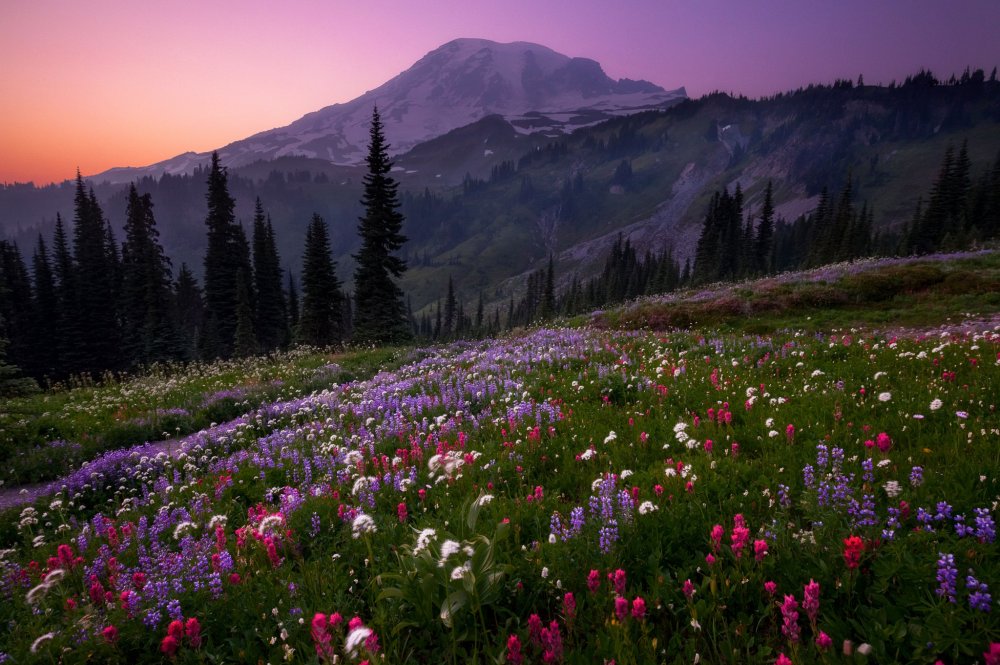 Горы с цветами
