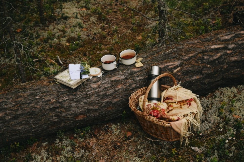 Исупов пикник в лесу