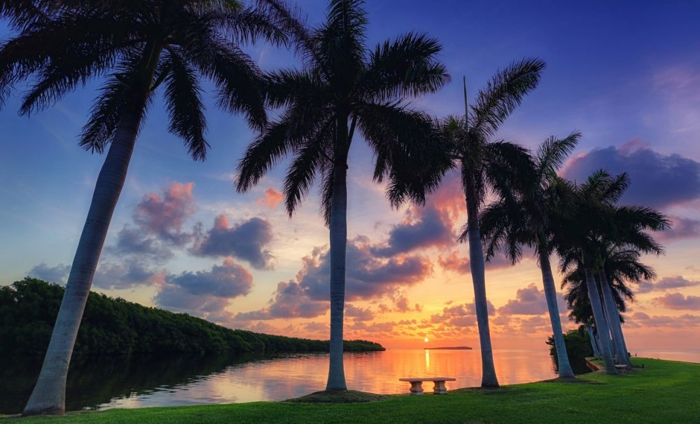 Майами закат пальмы