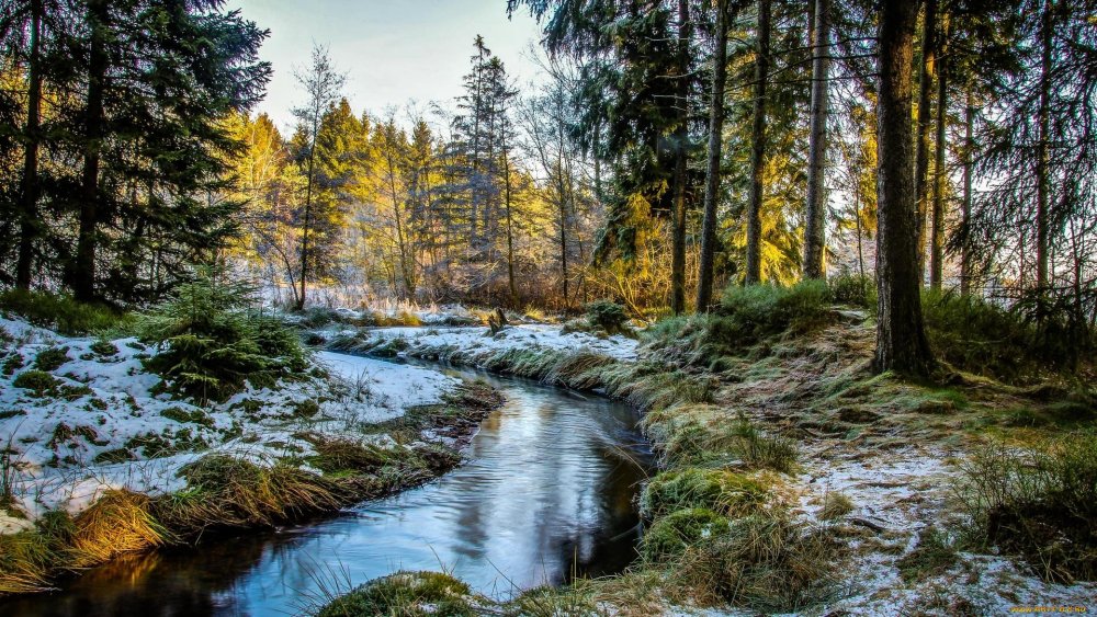 Скандинавия горы река лес