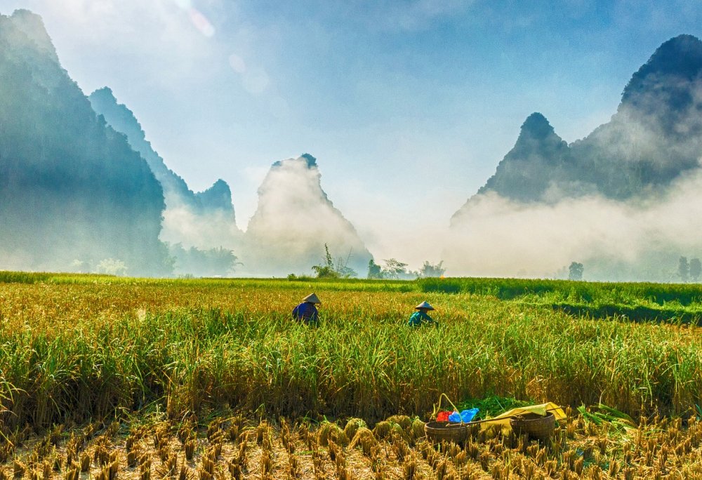 Вьетнам горные пейзажи