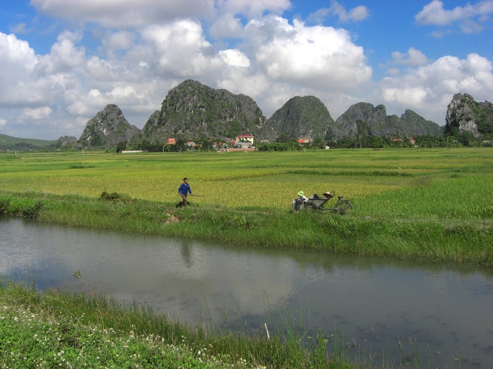 Пасмурная природа Вьетнама