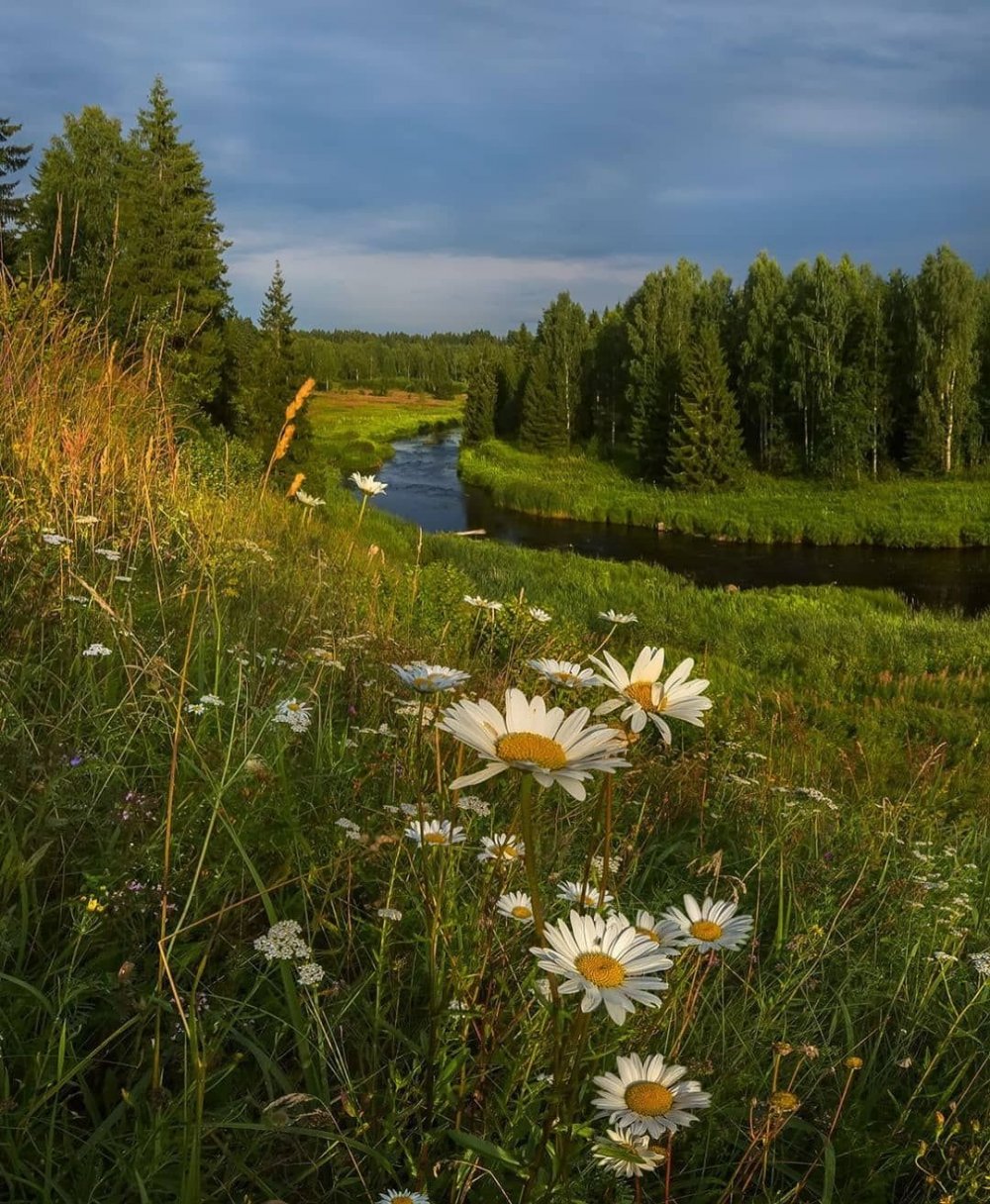 Красивые летние пейзажи россии