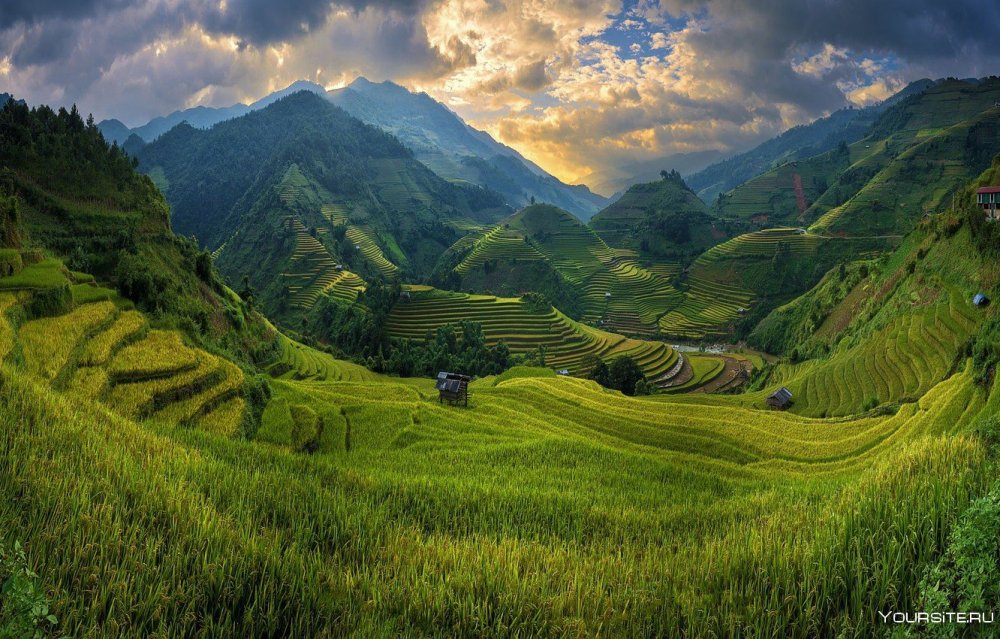 Равнина намбо Вьетнам
