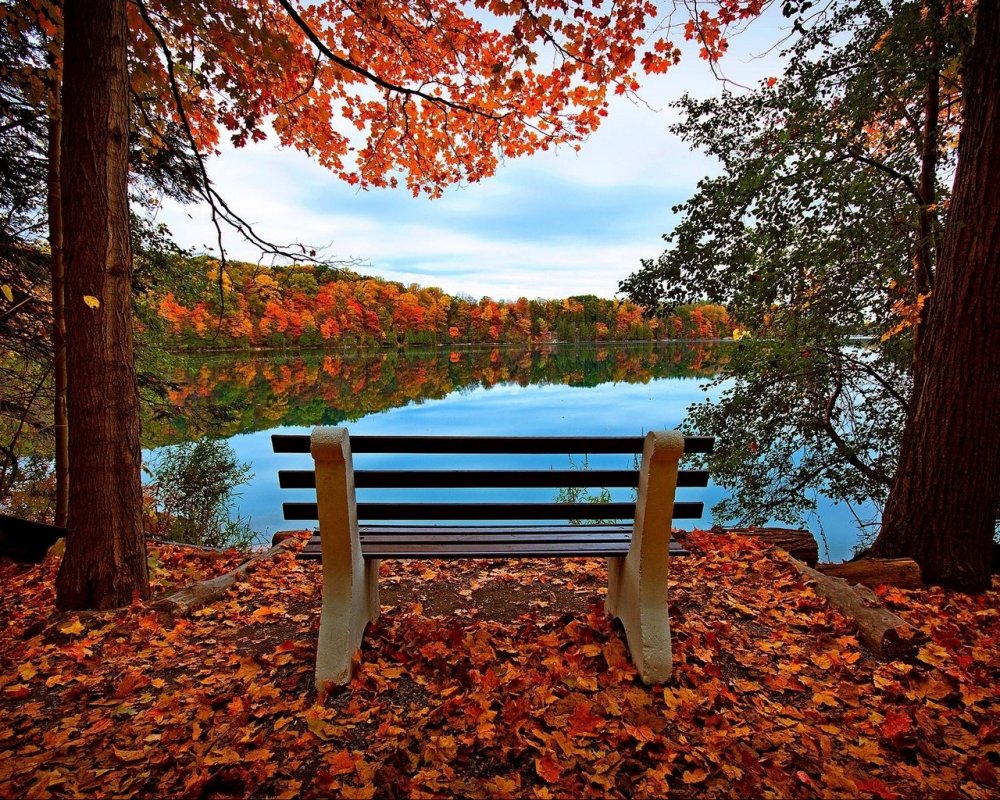 The most beautiful place for Date Bench