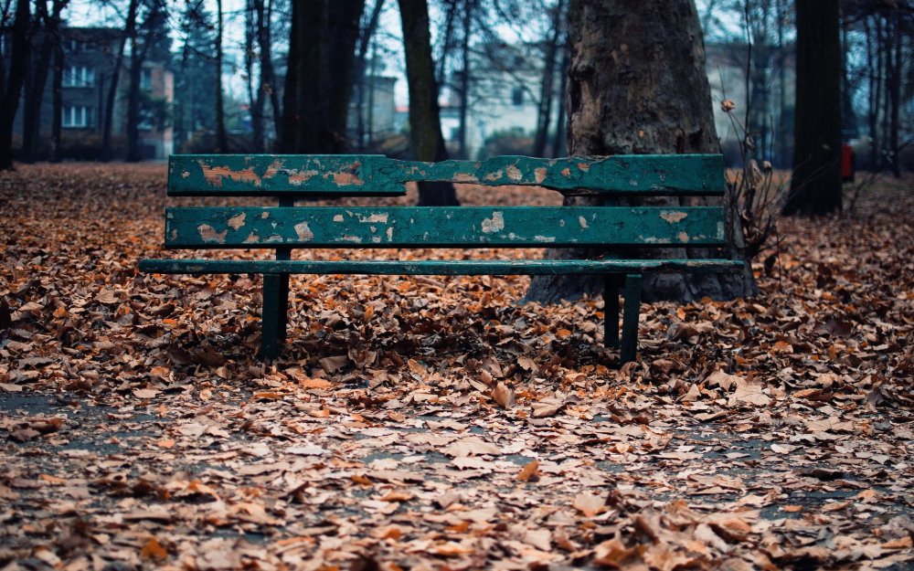 Пустая скамейка в парке