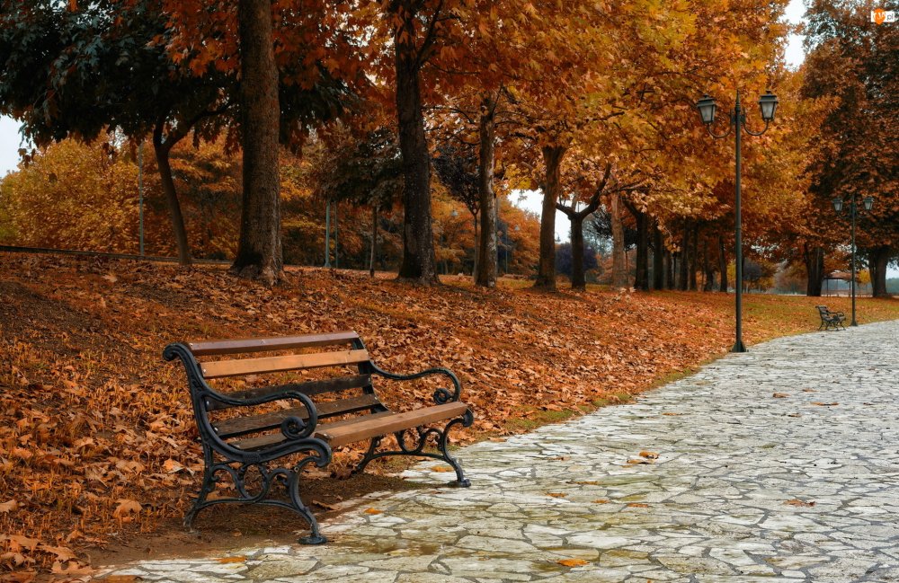 Парк со скамейками Ставрополь