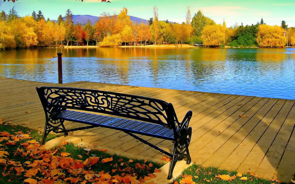 Скамейка с видом на озеро
