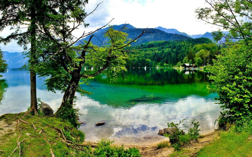Бохинское озеро Словения