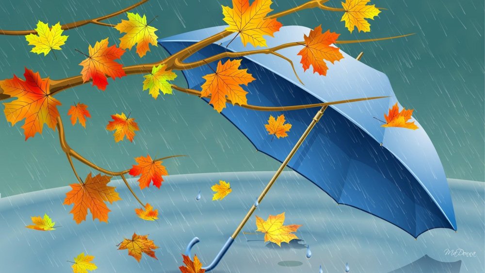 Осень дождь зонтик