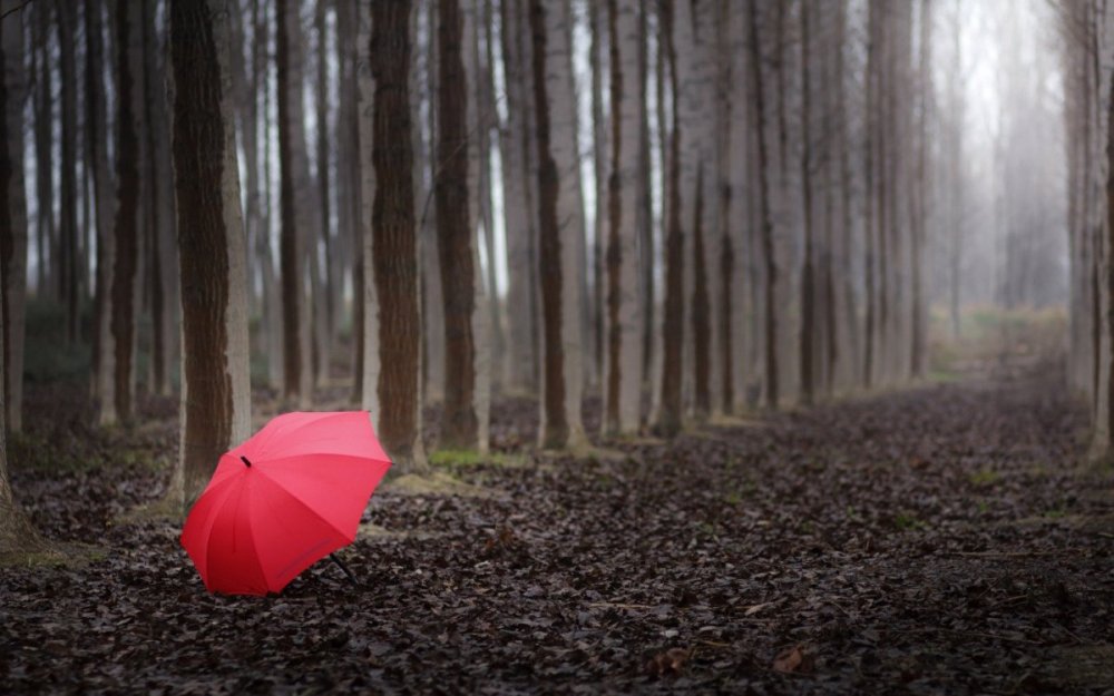 Одинокий зонтик
