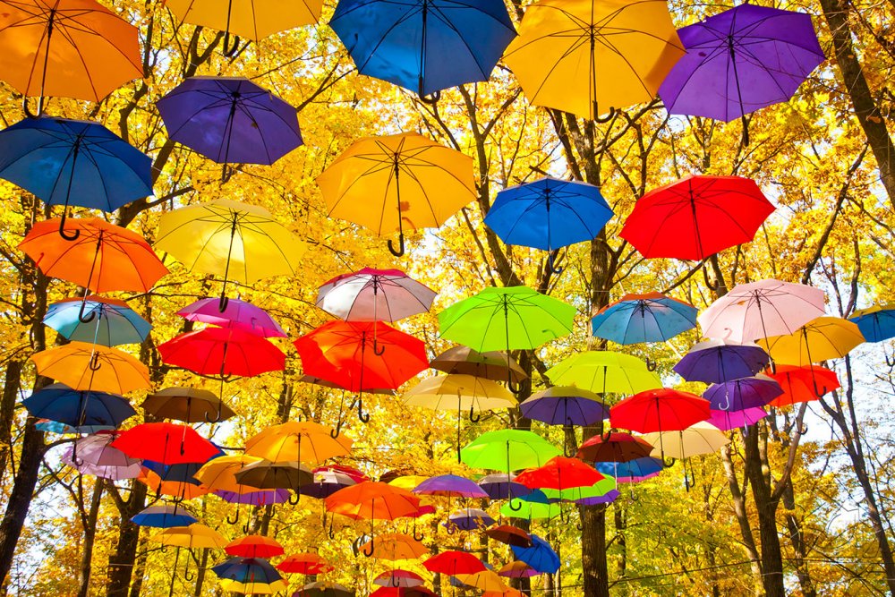 Осень яркий зонт