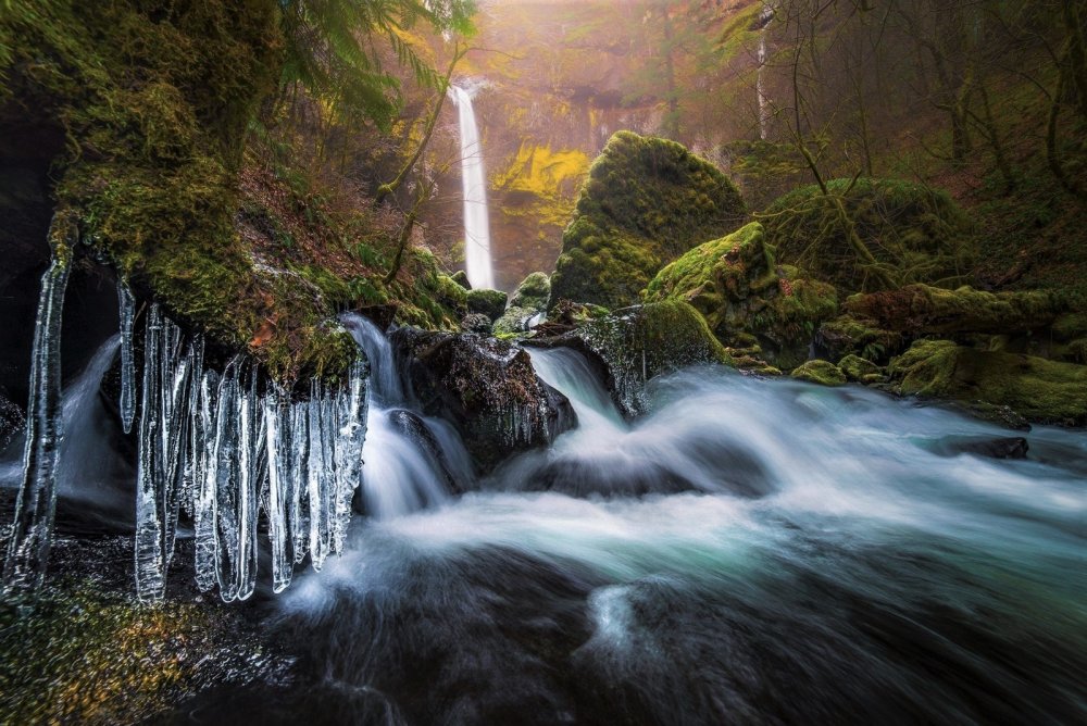 Лесной водопад в Орегоне