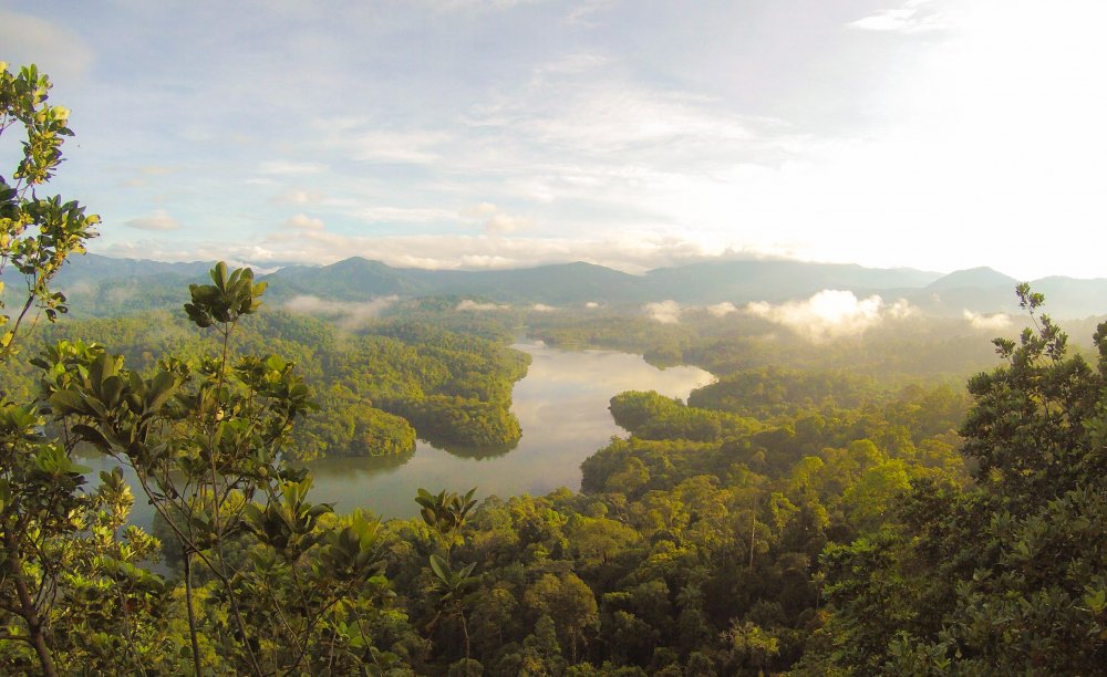 Национальный парк Таман Негара Малайзия