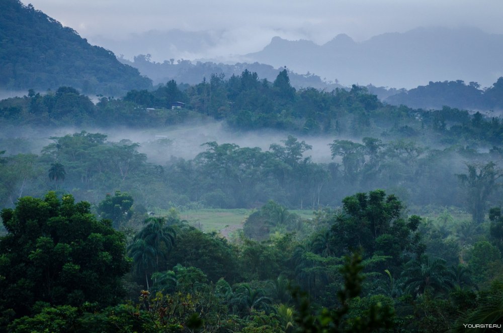 Республика Панама джунгли