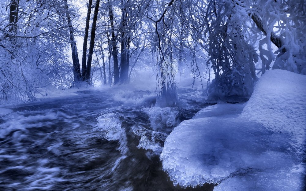 Ледяной лес