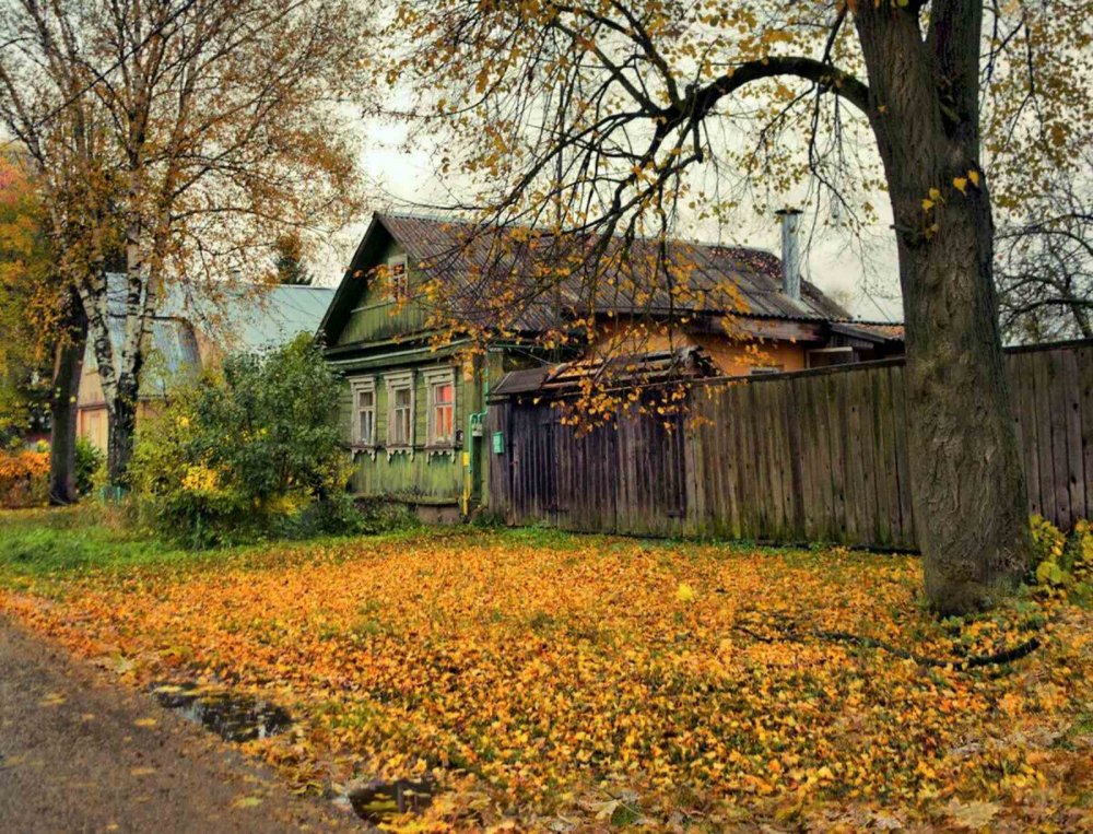 Тверская деревня осень