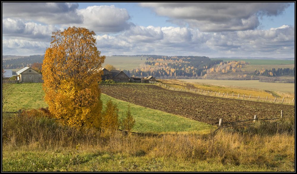 Осень поля деревня