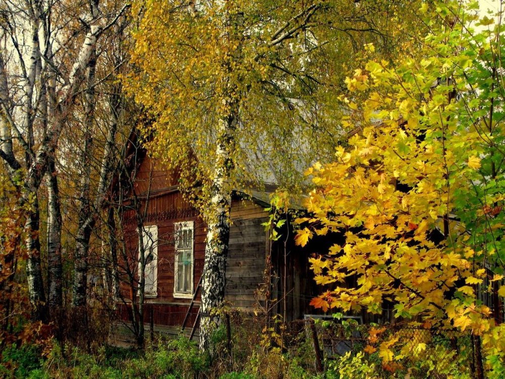 Деревенский домик осенью