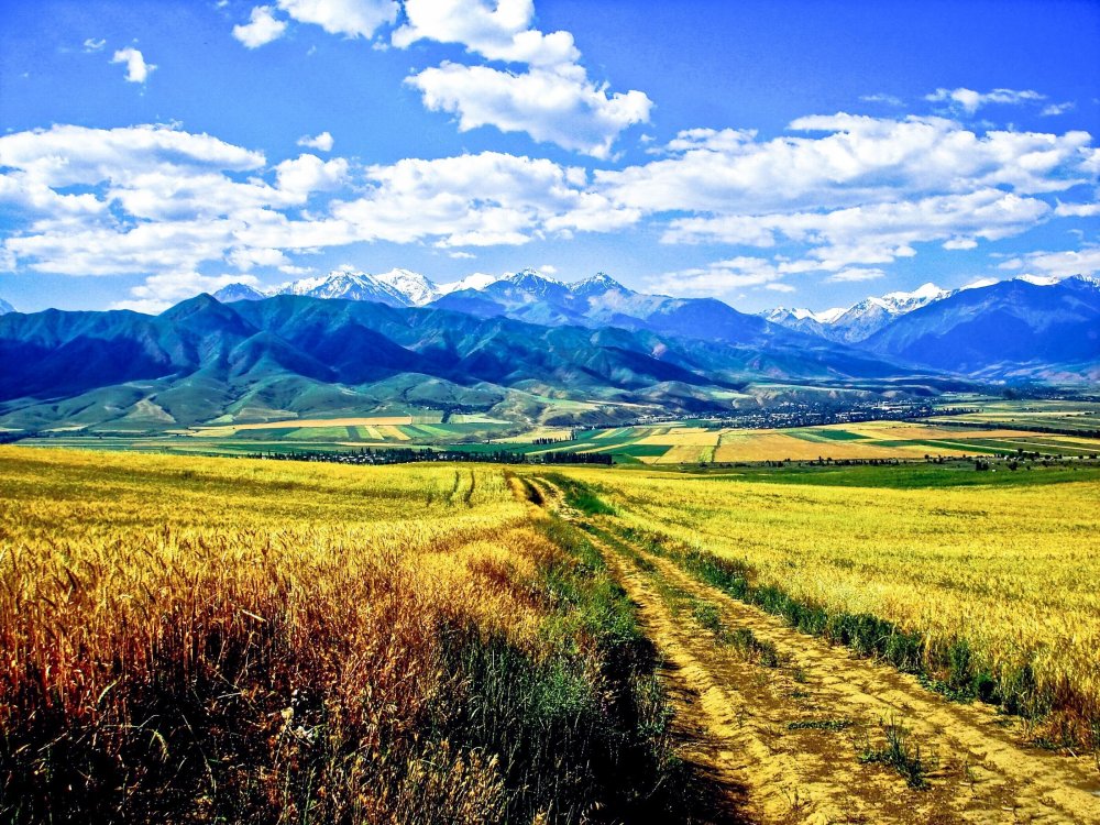 Природа степи горы Киргизия