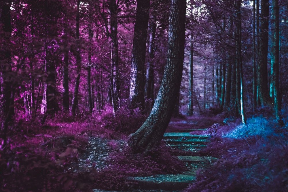 Панно Воскобовича фиолетовый лес