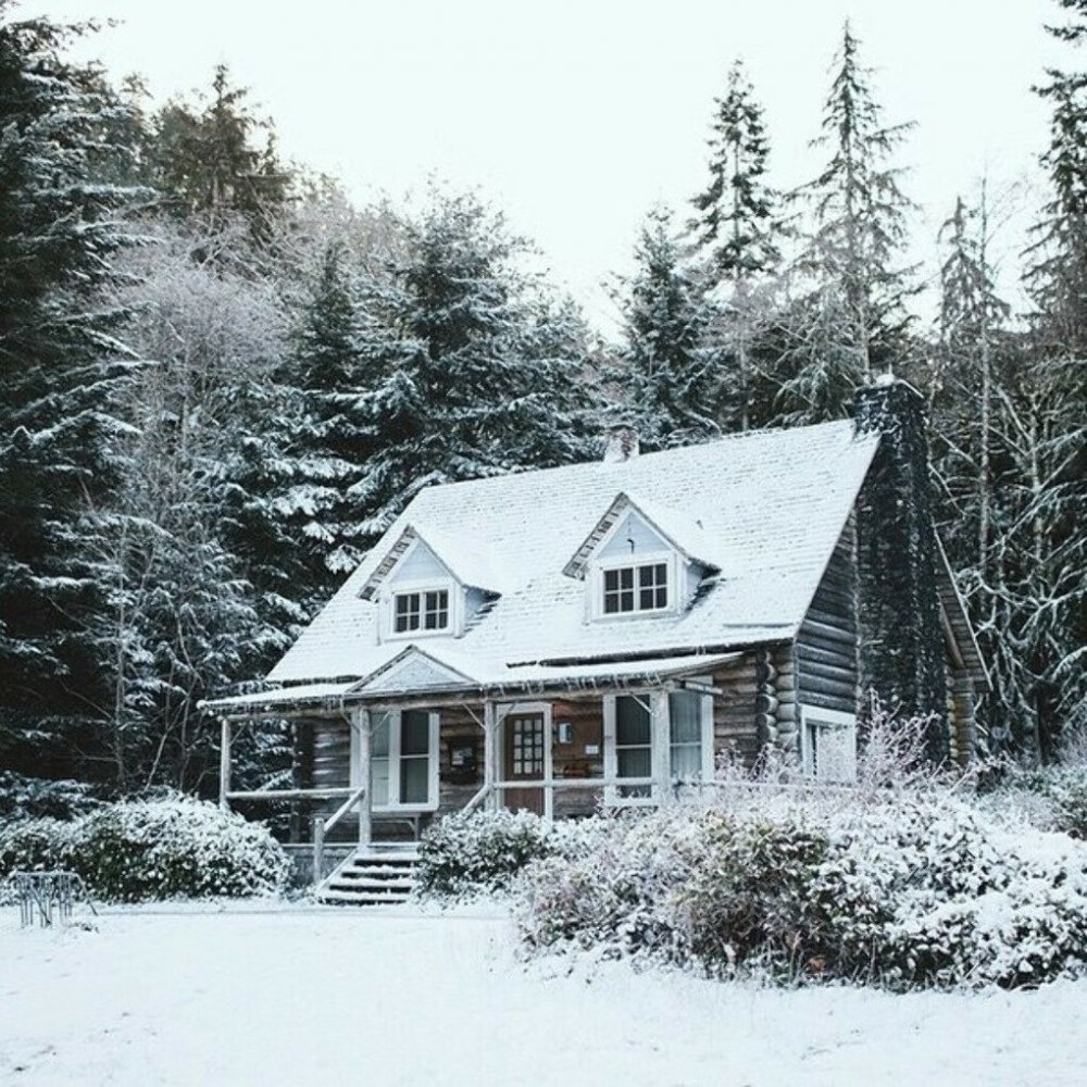 Уютный домик в лесу зима