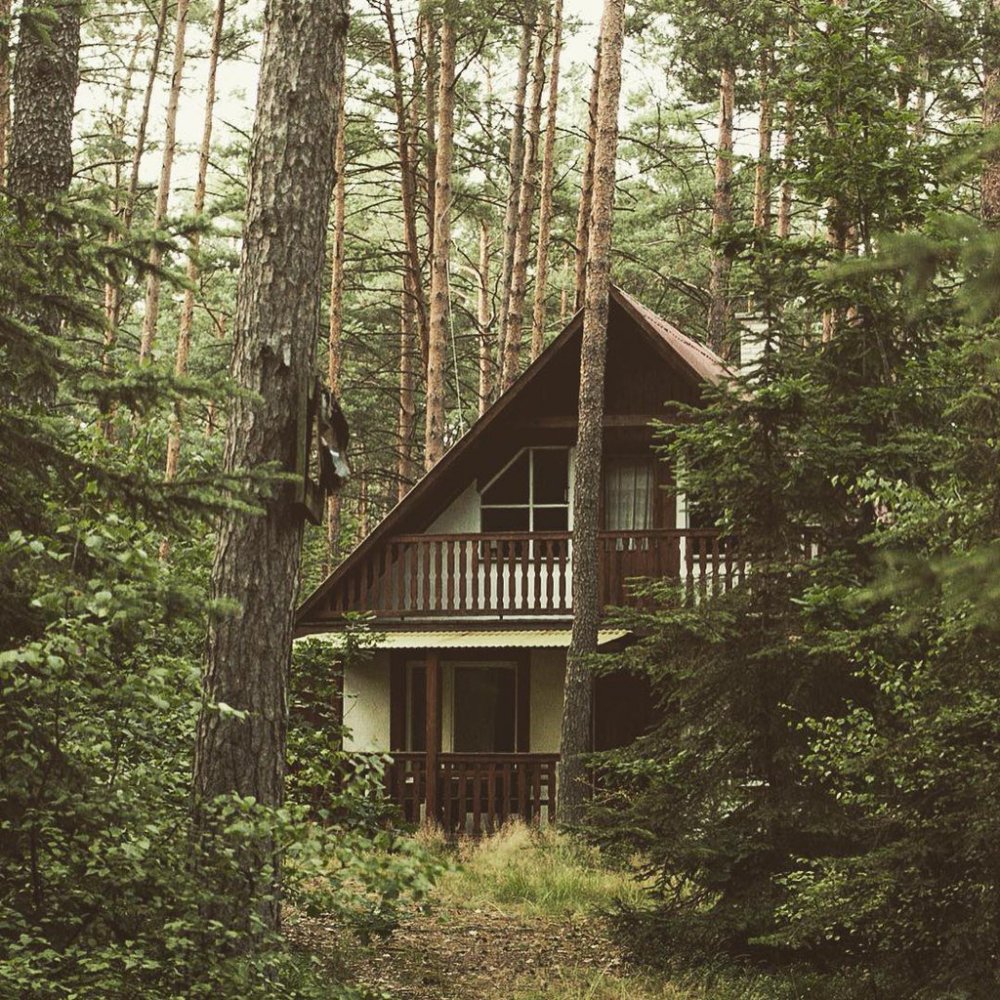 Деревянный дом в глухом лесу