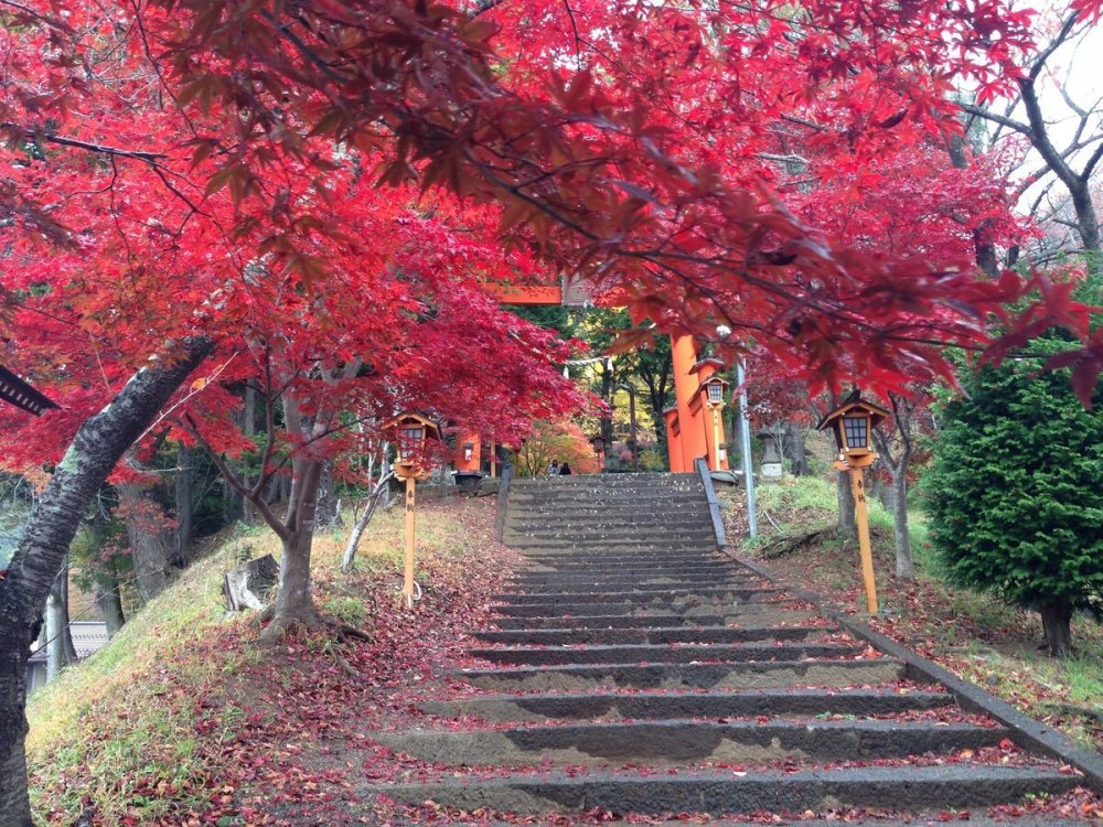 Осень в Японии Токио