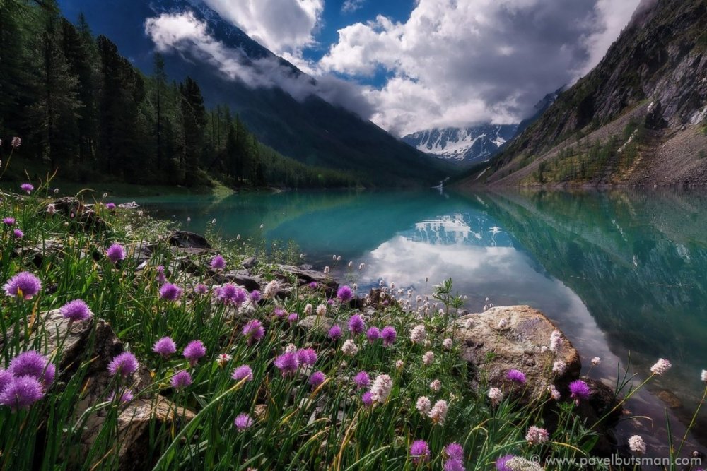 Шавлинское озеро Алтай летом
