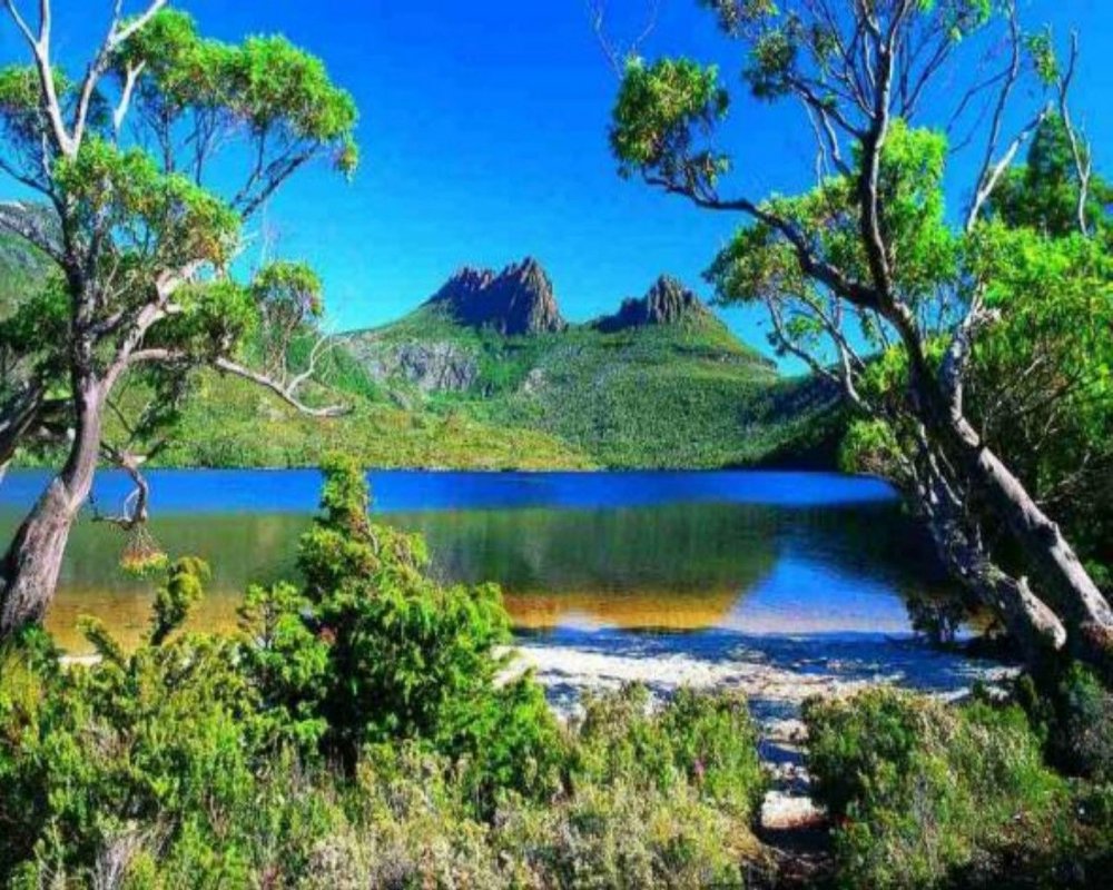 Остров Тасмания Австралия