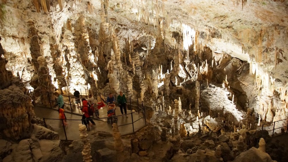 Словения пещера Постойнская яма