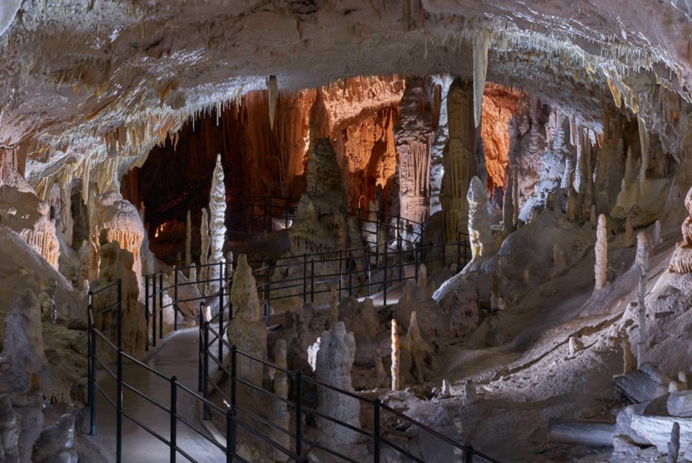 Словения пещеры Постойнска яма
