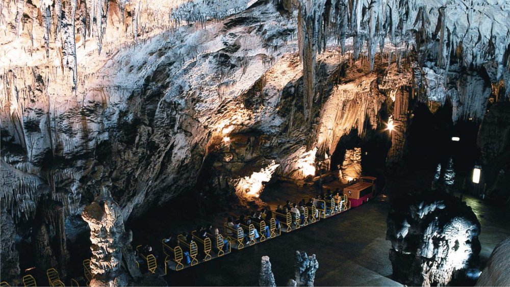 Пещерная система Постойнска-яма, Словения