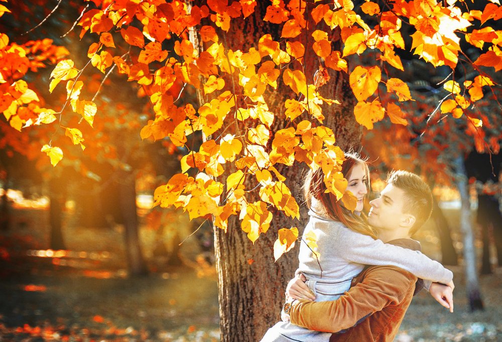 Золотая осень любовь