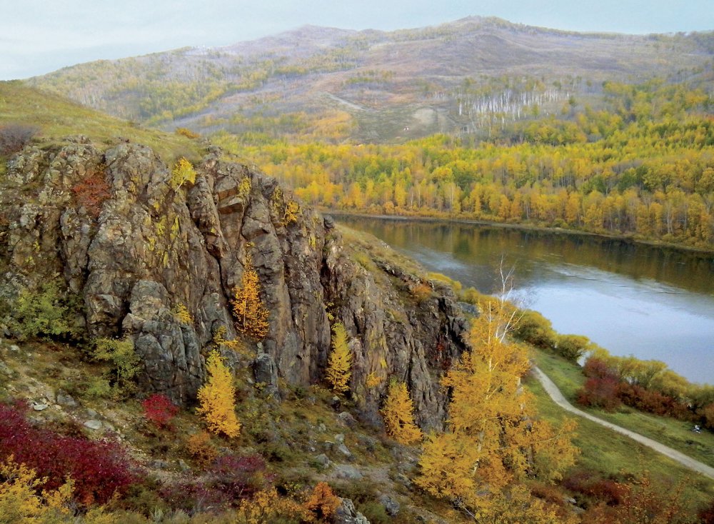 Смешанные леса и широколиственные леса России