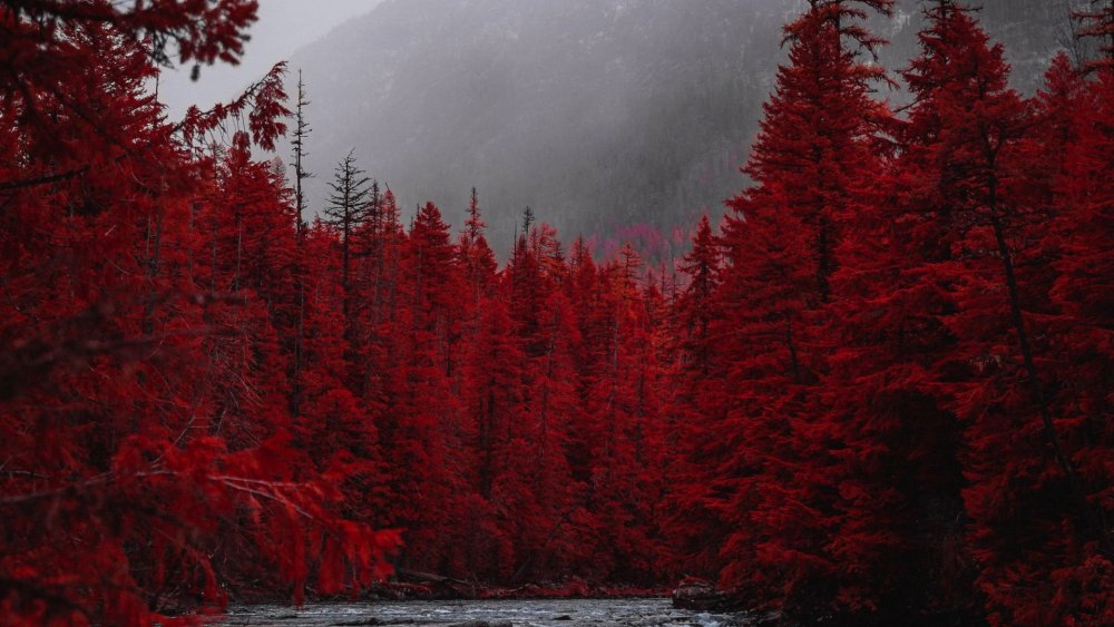 Красная природа
