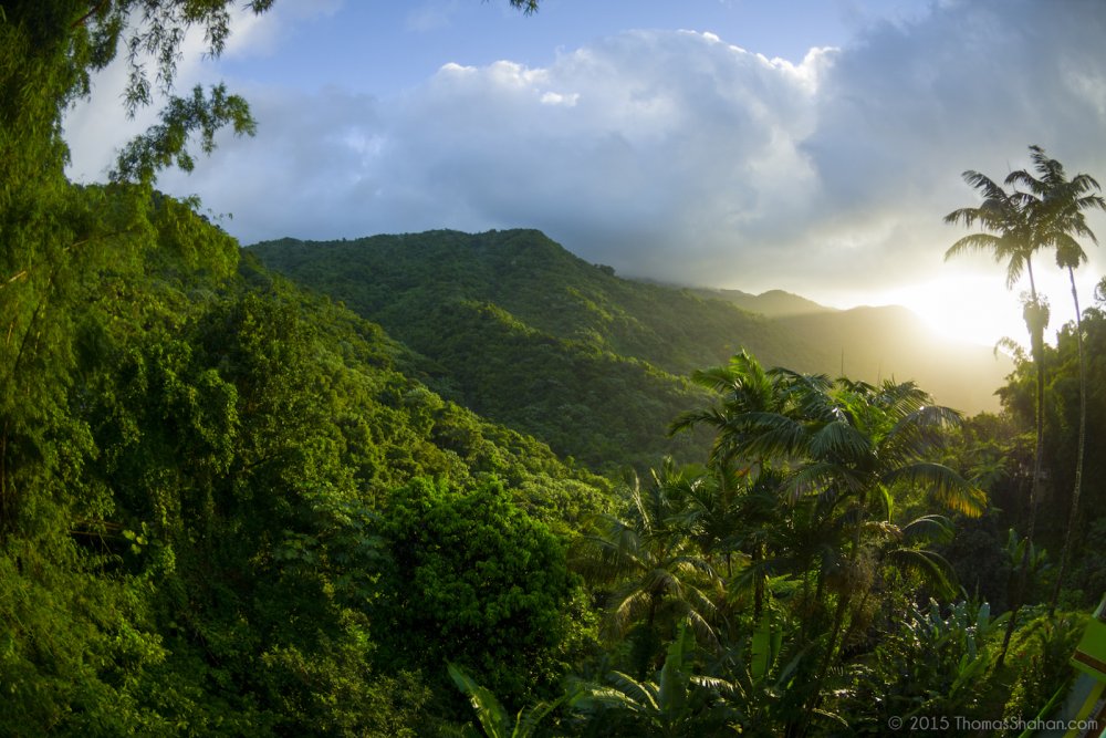 Пуэрто Рико национальный парк Эль-Юнке
