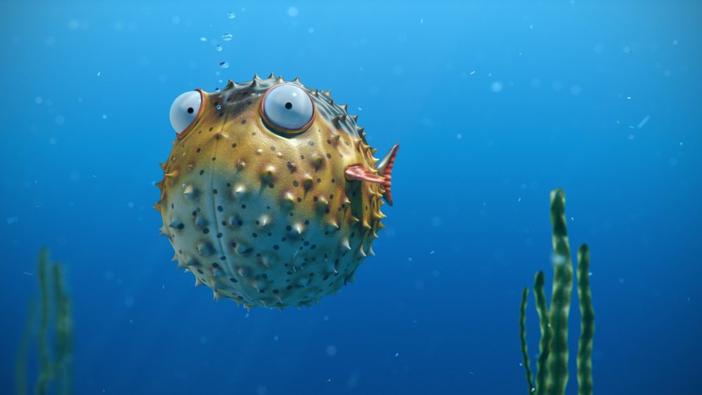 Коралловый риф из мультфильма Немо
