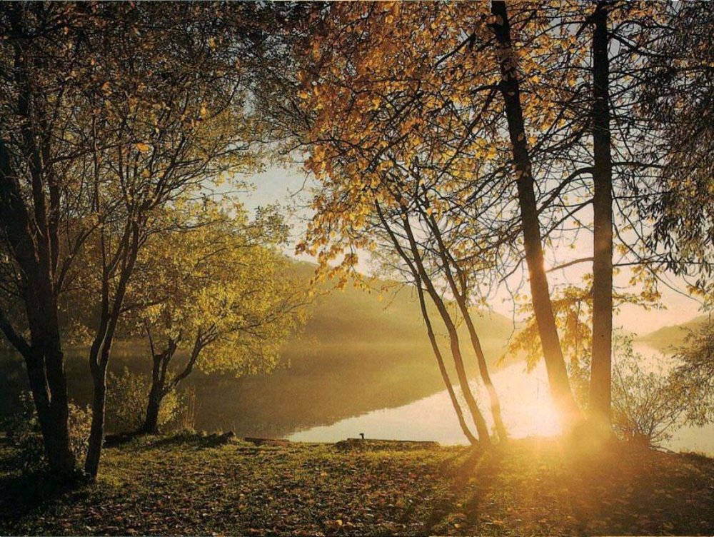 Осеннее утро природа