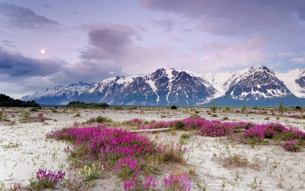 Аляска природа