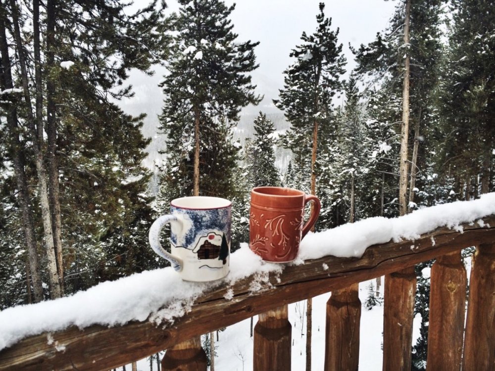 Чаепитие в зимнем лесу