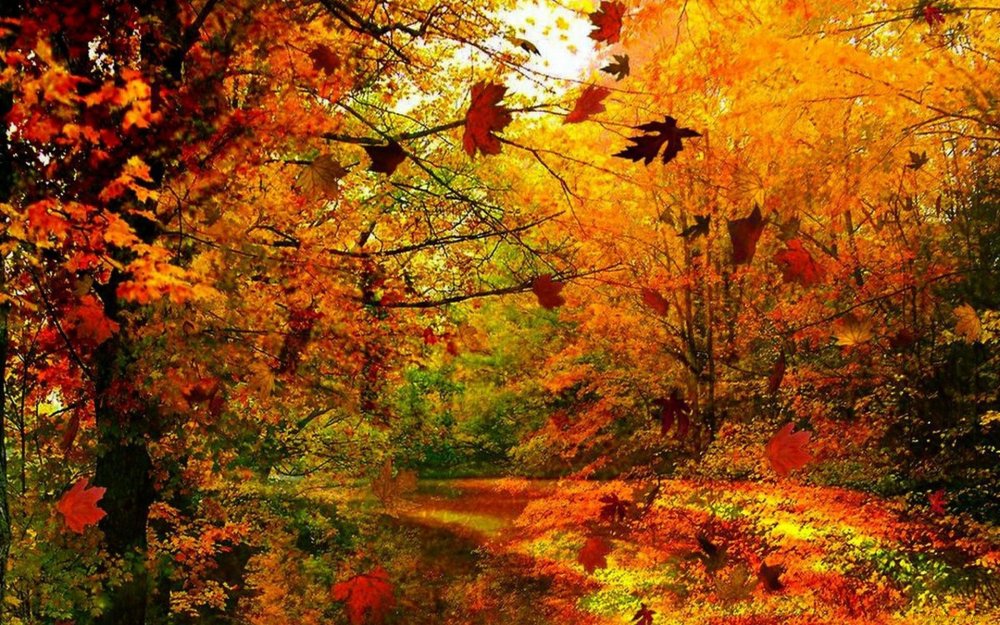 Изображения явлений природы: листопад