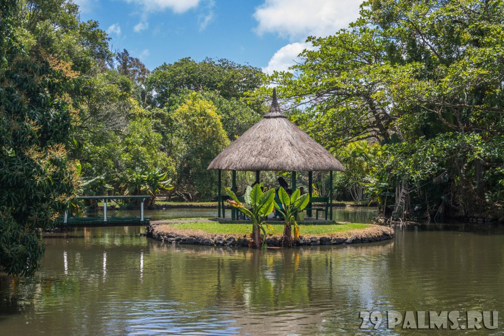 Ботанический сад Памплемус Маврикий