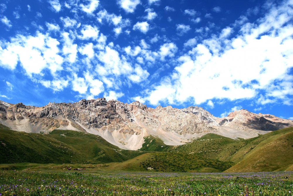 Тянь-Шань Долина Киргизия