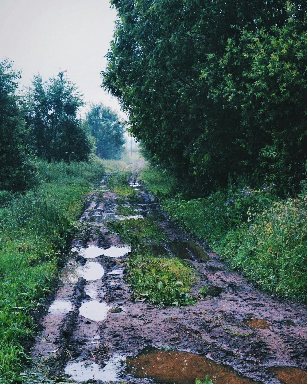 Дорога в деревне