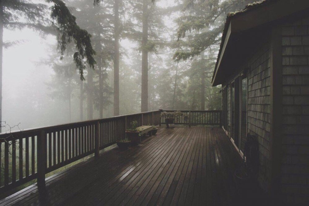 Дом в тумане