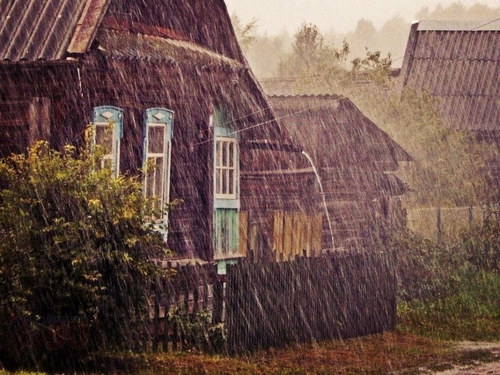 Осенний дождь в деревне